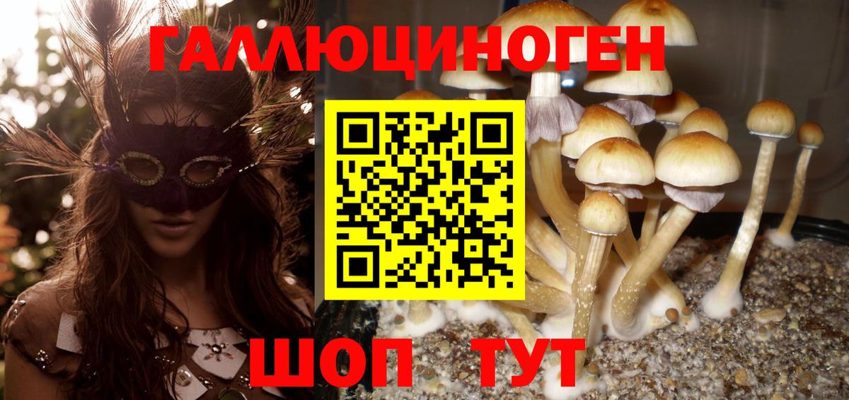 Сафоново  Галлюциногенные грибы мухоморы  Вход с VPN 