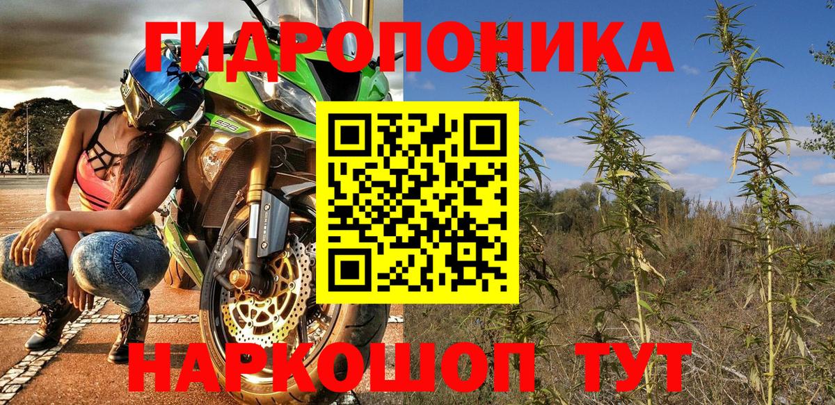 Канабис OG Kush Сафоново